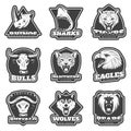 Vintage Team Sport Logos Set