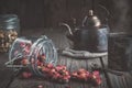 Vintage teapot, cup of healthy herbal tea, and glass jars of dry rose buds and daisy tea. Royalty Free Stock Photo