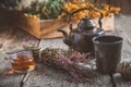 Vintage teapot, cup of herbal tea, honey jar, heather bunch and medicinal herbs on background. Royalty Free Stock Photo