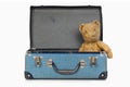 Vintage Teddy Bear In Old School Case