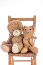 Vintage teddy bears. Senior old age pensioner toys in love
