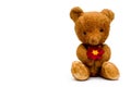 Vintage teddy with red flower Royalty Free Stock Photo