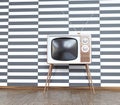 Vintage television