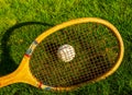 Vintage tennis racquet with traditional white ball on grass court Royalty Free Stock Photo