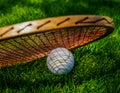 Vintage tennis racquet with traditional white ball on grass court Royalty Free Stock Photo