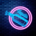 Vintage tequila emblem glowing neon sign