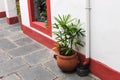 Vintage Terrace Detail Retro Plants Peaceful Terrace