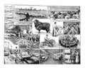 Vintage Textile or wool industry collage hand drawn / Antique engraved illustration from from La Rousse XX Sciele