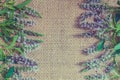 Vintage textural summer background. Old burlap and flowers and mint leaves Royalty Free Stock Photo