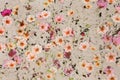 Vintage texture with Pink Flax flowers Royalty Free Stock Photo