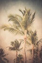 Vintage Textured Palm Trees Royalty Free Stock Photo