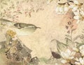 Vintage 18th Century Japanese Bird - Floral Background Paper - Magnolias Royalty Free Stock Photo