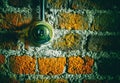 Vintage toggle light switch on brick wall Royalty Free Stock Photo