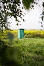 Vintage toilet in the middle of a field of flowers. An outdoor rustic green toilet with a heart cut out on the door Royalty Free Stock Photo