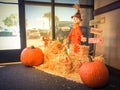 Filtered tone Halloween decoration near office entrance in Texas Royalty Free Stock Photo