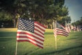 Vintage American Flags on green grass lawn Independence Day Royalty Free Stock Photo