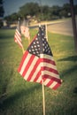 Vintage American Flags on green grass lawn near street Royalty Free Stock Photo