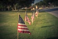 Vintage American Flags on green grass lawn near street Royalty Free Stock Photo