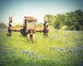 Filtered Image Rural Scene In Texas With Old Tractor And Bluebonnet Blossom In Springtime