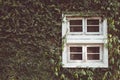 Vintage tone of Old vintage wooden window