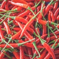 Vintage tone of red hot spicy chillies pepper background Royalty Free Stock Photo