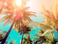 Vintage tone style coconut tree on the beach Royalty Free Stock Photo