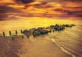 Vintage toned dramatic sunset over beach and rocky pier Royalty Free Stock Photo