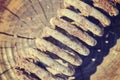 Vintage toned old rusty spring. Royalty Free Stock Photo