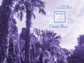 vintage toned palm trees against the sky, color of the 2020 year trend, classic blue tones