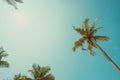 Vintage toned palms with empty clear sky