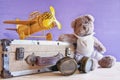 Vintage toy plane and cute teddy bear Royalty Free Stock Photo