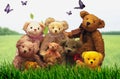 Vintage toys, a lovely family of teddy bears