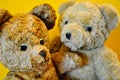 Vintage toys, two old teddy bears Royalty Free Stock Photo