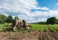 Vintage Tractor in Farm Field with crops. Royalty Free Stock Photo