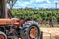 Vintage Tractor on a Vineyard Royalty Free Stock Photo