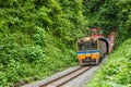 Vintage train running out of tunnel in forest