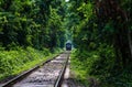 Vintage Train Running Through Tunnel Naturally Created From Trees Along the Railway Royalty Free Stock Photo