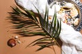 Vintage tray, gauze, sea shells, green palm leaf flatly on beige background. Summer trendy boho wallpaper in sunlight