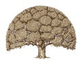 Vintage tree foliage. Hand-drawn sketch old oak. Nature