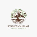 Vintage tree of life Logo, old oak tree logo, old big tree with the root logo vector