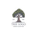 Vintage tree vector illustration logo design template