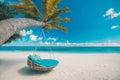 Vintage beach landscape. Amazing tropical beach seaside background as summer landscape with beach swing on palm tree Royalty Free Stock Photo