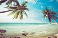 Vintage tropical beach seascape with palm tree in summer