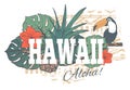 Vintage tropical exotic Hawaii print for t-shirt