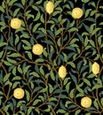 Vintage Tropical Fruit Seamless Pattern On Dark Background. Lemons In Foliage. Middle Ages William Morris Style. Vector