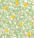 Vintage tropical fruit seamless pattern on light background. Lemons in foliage. Middle ages William Morris style. Vector