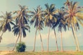 Vintage tropical palm trees