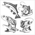 Vintage trout fishing emblems and design elements