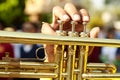 vintage trumpet in gentle