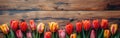 Vintage Tulip Border Frame on Wooden Background - Spring/Summer Flower Blossom in Vintage Colors Royalty Free Stock Photo